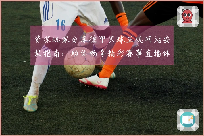 资深玩家分享德甲买球正规网站安装指南，助你畅享精彩赛事直播体验