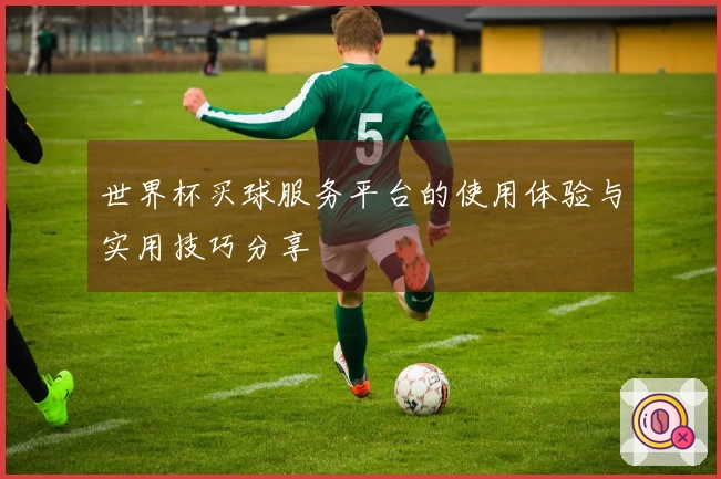 世界杯买球服务平台的使用体验与实用技巧分享